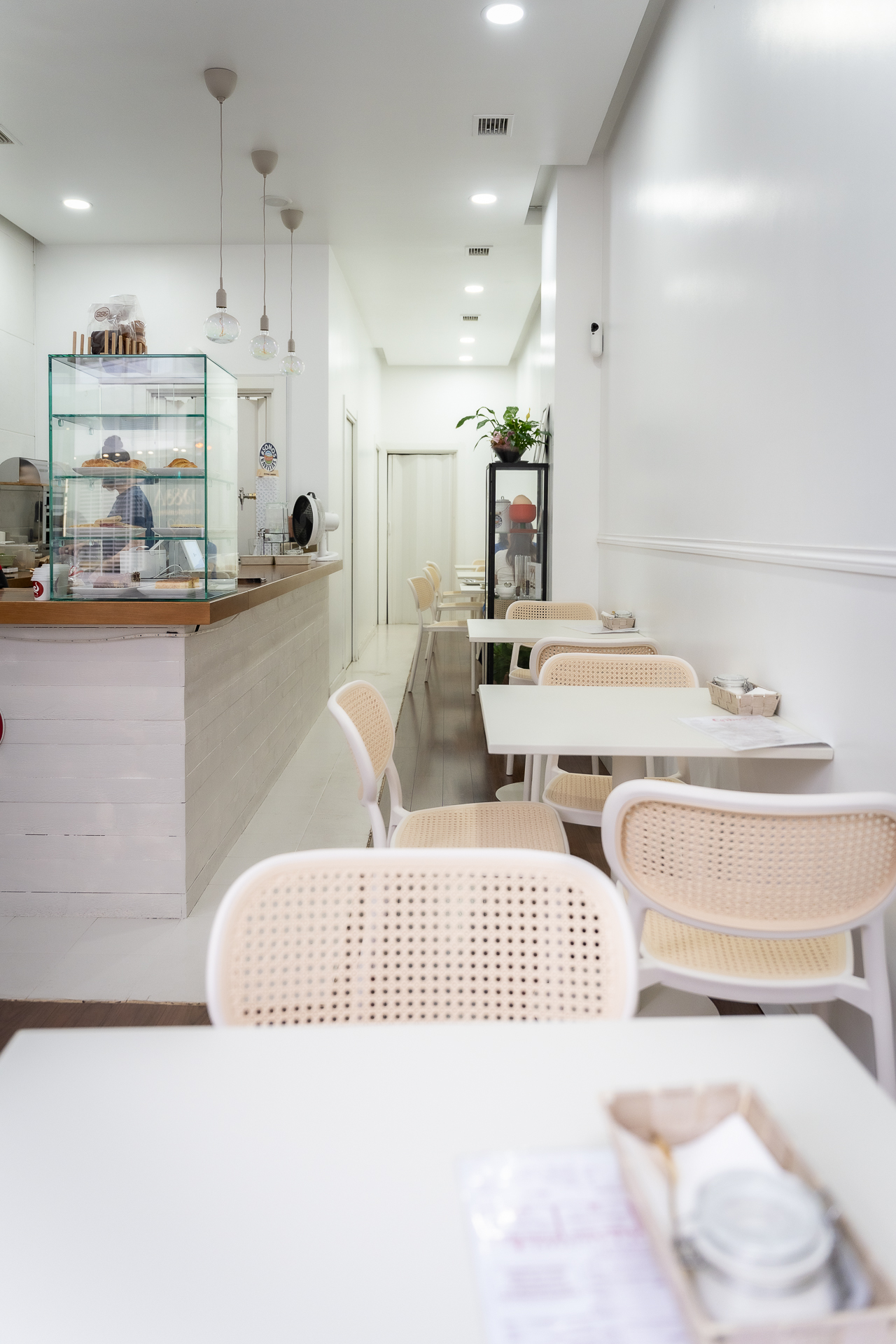 CEIBO CAFE BAJA 9